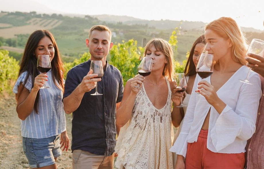 Driftwood Wineries Tour