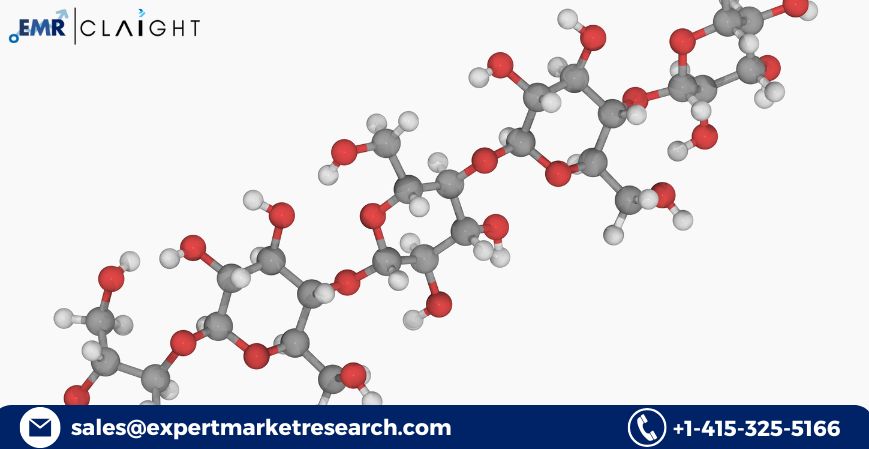 Nanocellulose Market