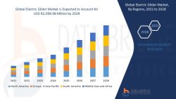 Electric Glider Market