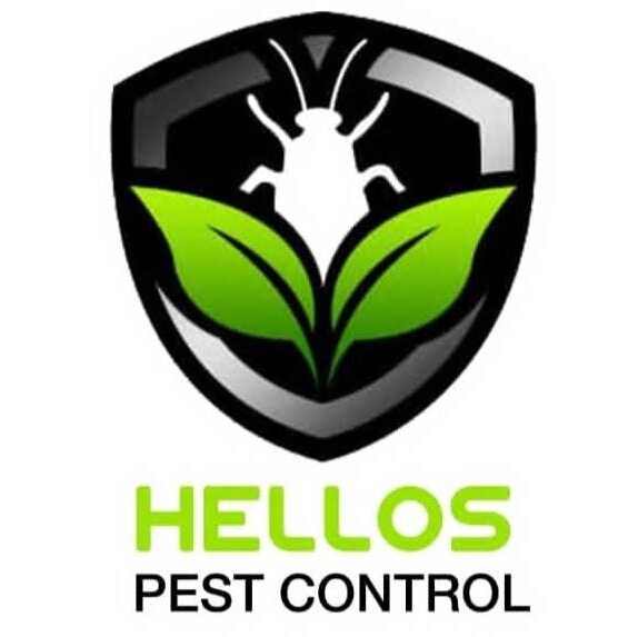 bed bug removal Dubai